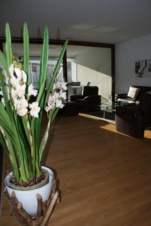 Loft Seepromenade Apartment Davos